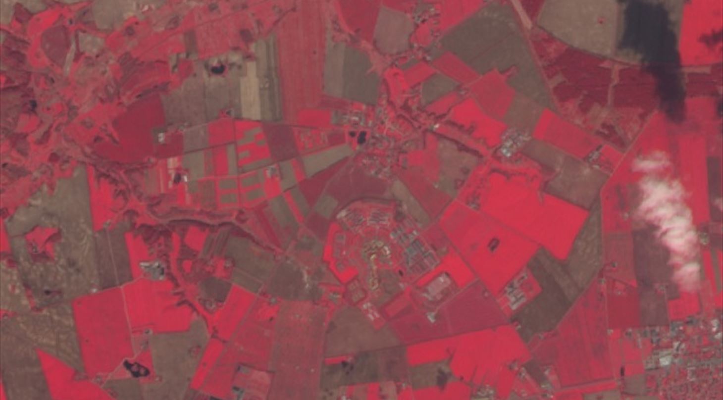 Rumfoto agrotech